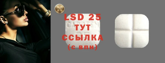 дживик Алзамай