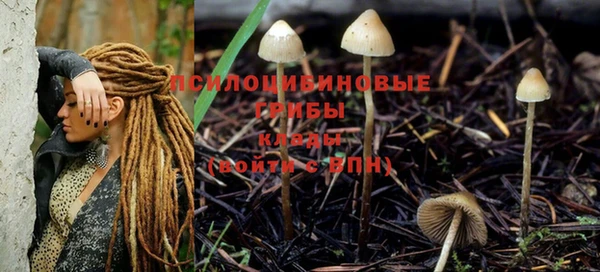 герыч Абинск